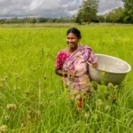 Why Is Agriculture Called The Backbone Of Indian Economy