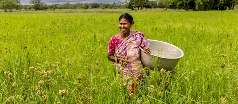 Why Is Agriculture Called The Backbone Of Indian Economy