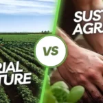Industrial Agriculture VS Sustainable Agriculture