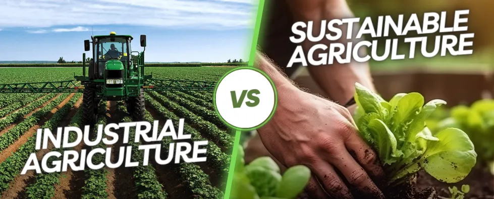 Industrial Agriculture vs. Sustainable Agriculture - JCBL Agri